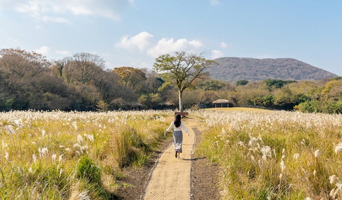 濟州石頭文化公園優惠門票