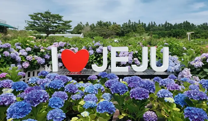 Summer Special: Jeju Summer 1 Day Tour (East/ South & West Course)