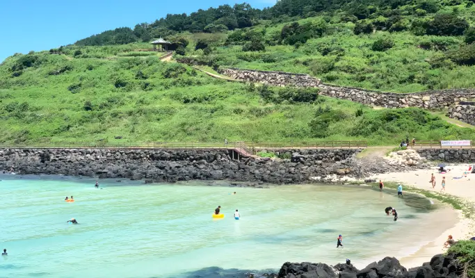 Summer Special: Jeju Summer 1 Day Tour (East/ South & West Course)
