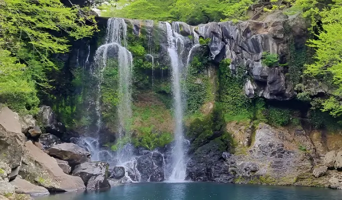 Summer Special: Jeju Summer 1 Day Tour (East/ South & West Course)