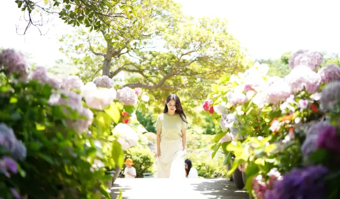 Summer Special: Jeju Summer 1 Day Tour (East/ South & West Course)