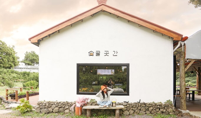 濟州橘子採摘體驗（+ 喂動物和單軌鐵路選項）