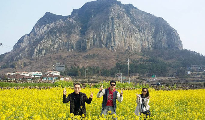 Hire a taxi with a driver in Jeju - Jeju Taxi Tour (up to 4 passengers)