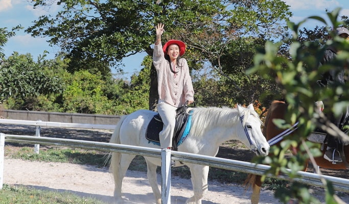 The Ma Horse Park Discount Ticket: Horse Show/ Horseback Riding/ Go Karting