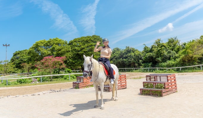 The Ma Horse Park Discount Ticket: Horse Show/ Horseback Riding/ Go Karting