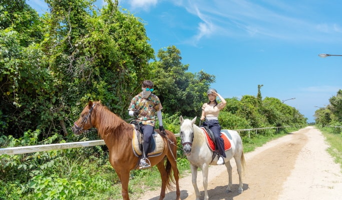 The Ma Horse Park Discount Ticket: Horse Show/ Horseback Riding/ Go Karting