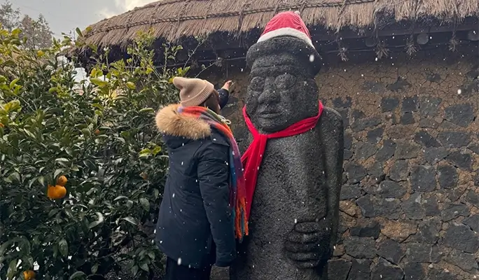 Winter Special: Jeju Winter 1 Day Tour (East/ South & West Course)