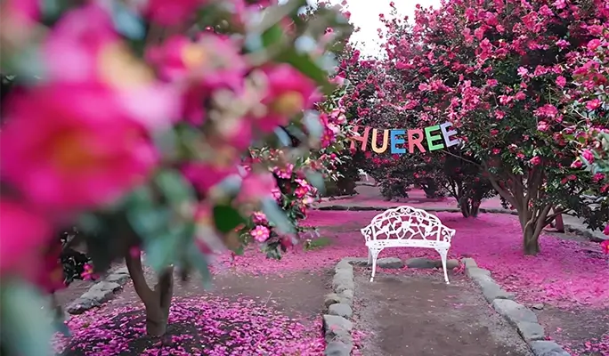 Winter Special: Jeju Winter 1 Day Tour (East/ South & West Course)
