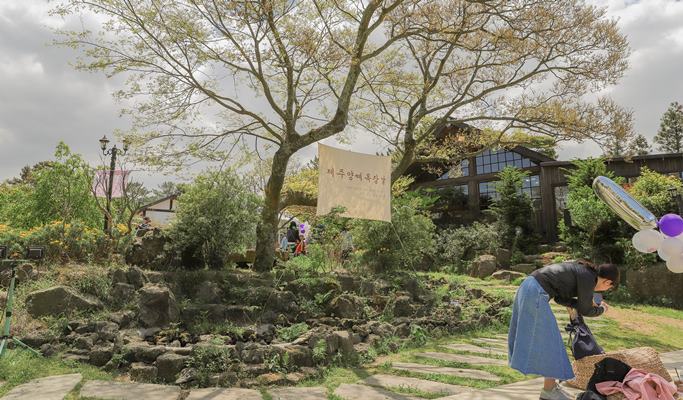 済州「ヤンテ（羊）牧場」割引チケット