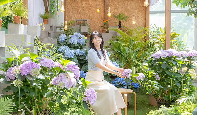 Ticket für den Botanischen Garten Jeju Yeomiji