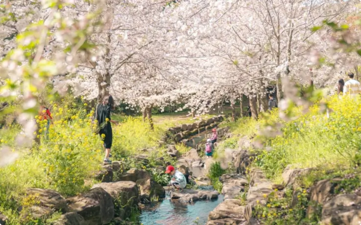 Children playing by the stream at Yerae Eco Experience Park.