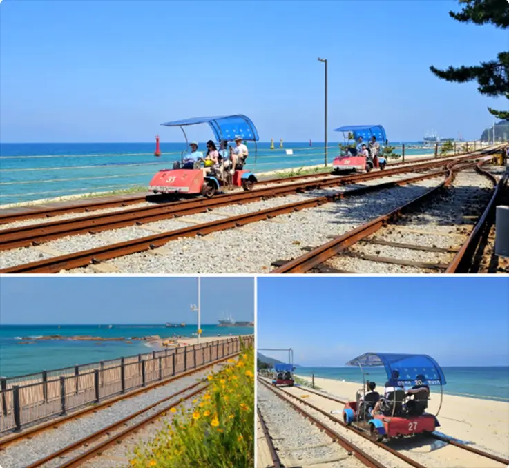People pedaling along a scenic coastal rail bike track at Jeongdongjin Rail Bike.