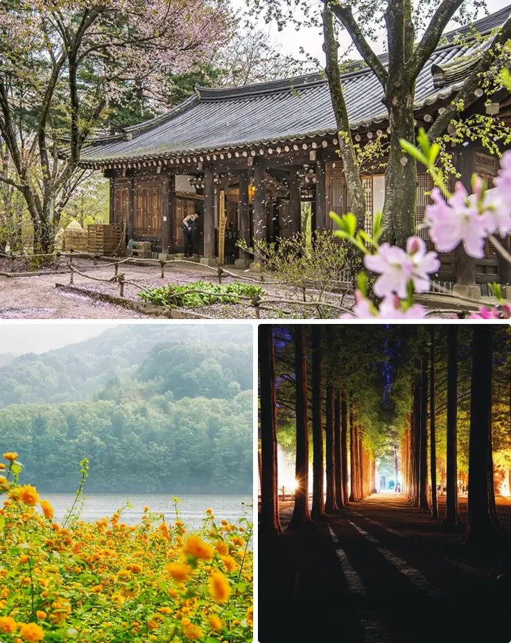 Nami Island in spring