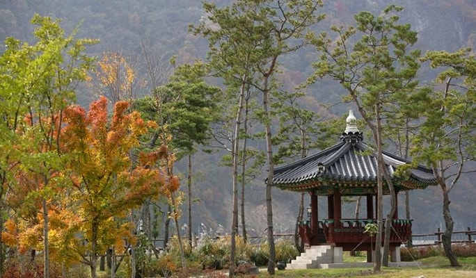 Jeongseon Rail Bike & Sky Walk 1 Day Private Tour