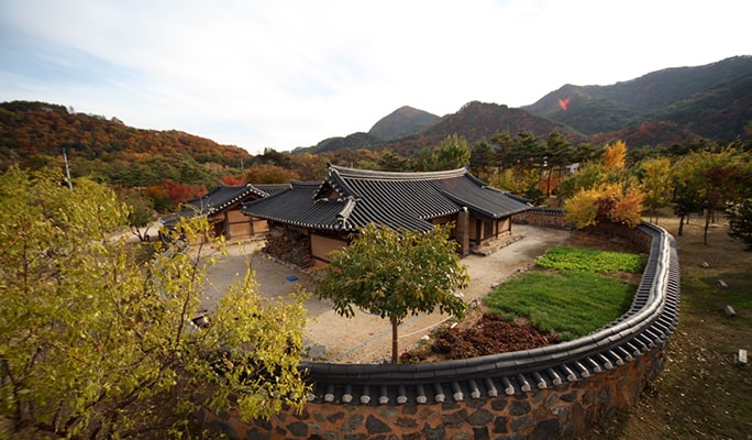 Jeongseon Rail Bike & Sky Walk 1 Day Private Tour