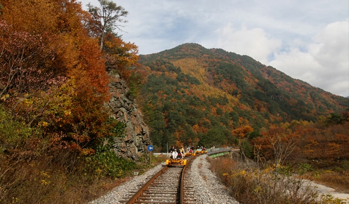 Jeongseon Rail Bike & Sky Walk 1 Day Private Tour