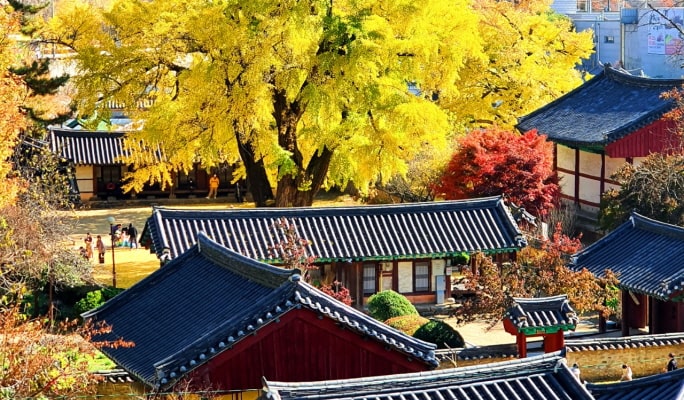 [Autumn Foliage] Private Tour to Nami Island, Suwon, Seoraksan, Naejangsan or Daedunsan National Park - from Seoul (Oct 15~Nov 21)