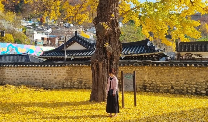 全州韓屋村 & 長泰山 / 大屯山 1 日遊 - 首爾出發