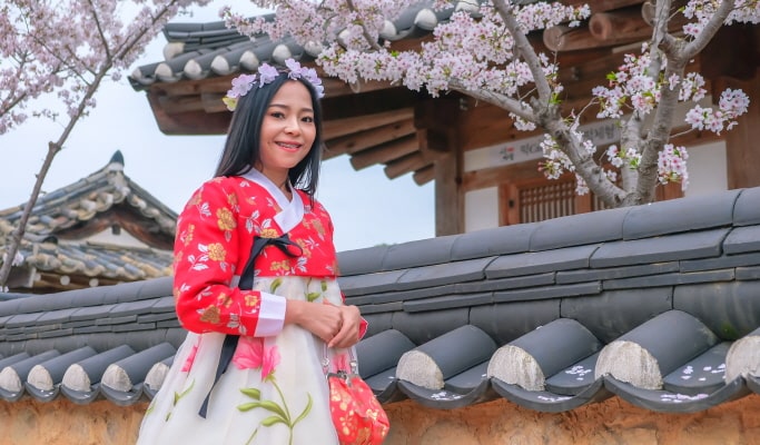 Spring Special: Gwangyang Plum Blossom (Maehwa) Festival & Jeonju Hanok Village 1 Day Tour - from Seoul (Mar 10~21)