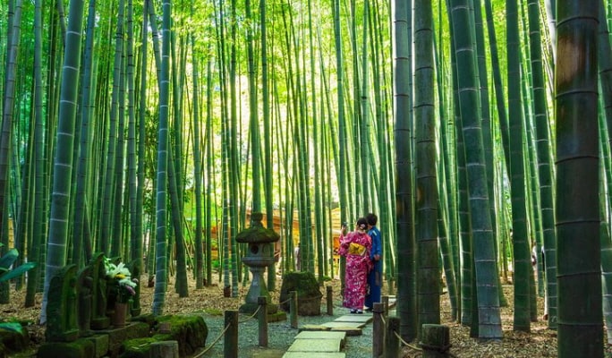 Kamakura Private Walking Tour & Kimono Experience with Licensed Guide
