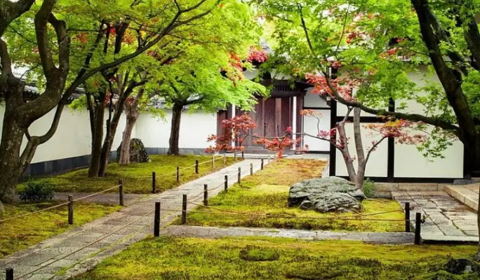 Kyoto Japanese Garden Private Walking Tour with Licensed Guide