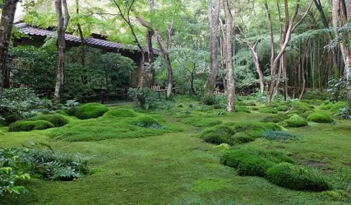Kyoto Japanese Garden Private Walking Tour with Licensed Guide