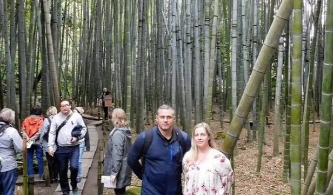 Kyoto Japanese Garden Private Walking Tour with Licensed Guide