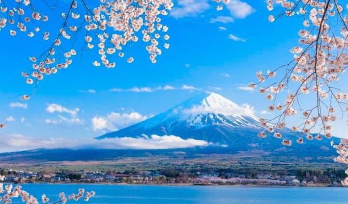 Mt. Fuji Private 1 Day Tour From Tokyo