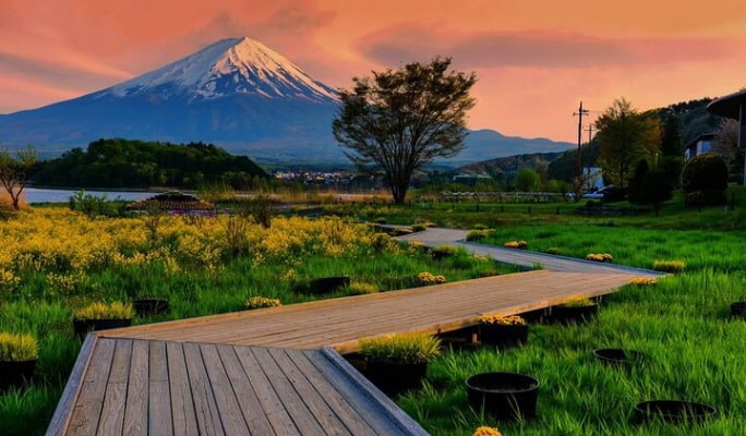Mt. Fuji Private 1 Day Tour From Tokyo