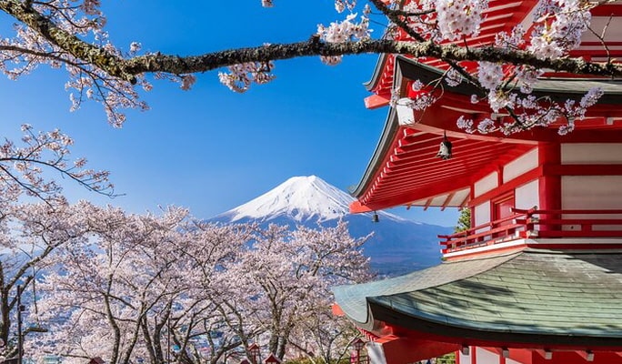 Mt. Fuji Private 1 Day Tour From Tokyo