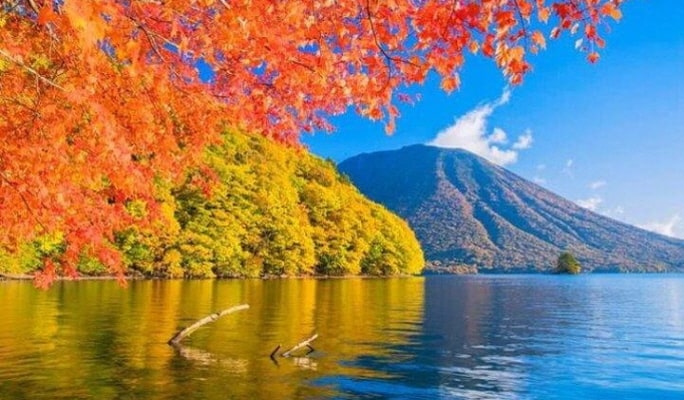 Nikko Private 1 Day Tour with Private Transportation (+ Licensed guide/ Driver)