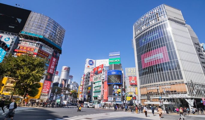 Tokyo Private 1 Day Tour with Licensed Guide from/to Narita Airport