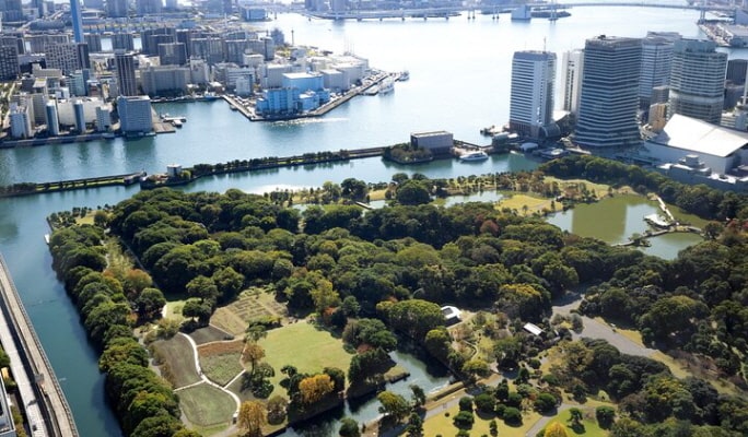 Tokyo Private Walking Tour &  Samurai Sword Experience with Licensed Guide