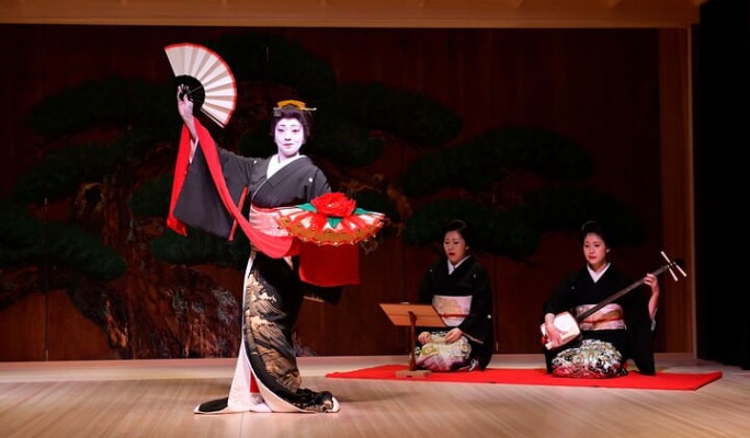 Tokyo Private Walking Tour & Japanese Traditional Performance with Dinner
