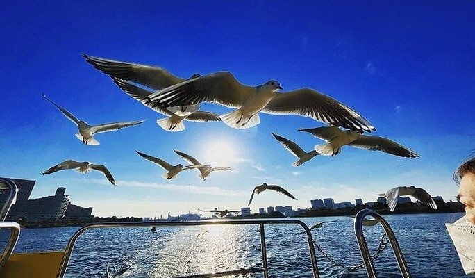 Tokyo Water Taxi Tour