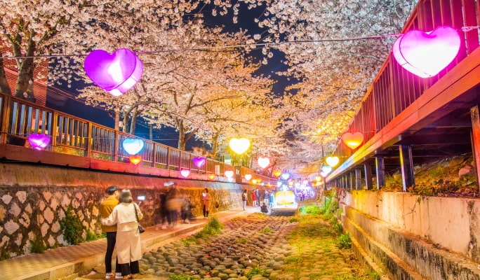 春スペシャル：鎮海(チネ) 桜 1日ツアー（+送迎オプション） -ソウル/釜山発 （3月22日~4月7日）