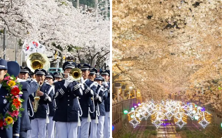 Military band performing at Jinhae Gunhangje Cherry Blossom Festival in Korea