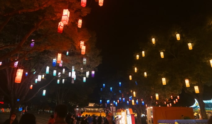 2025年晉州南江流燈節＆粉黛亂子草一日遊（釜山出發 10月13日～24日）