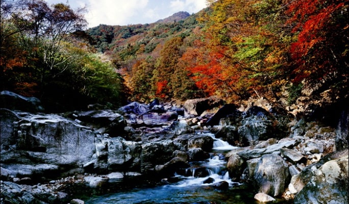 [Autumn Foliage] Private Tour to Nami Island, Suwon, Seoraksan, Naejangsan or Daedunsan National Park - from Seoul (Oct 15~Nov 21)