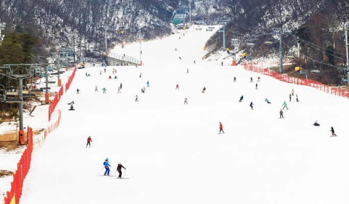 芝山滑雪場：雙板滑雪/單板滑雪/雪橇一日遊 - 首爾出發