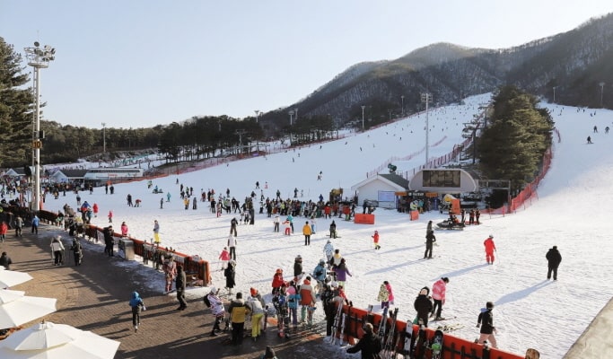 芝山滑雪場：雙板滑雪/單板滑雪/雪橇一日遊 - 首爾出發