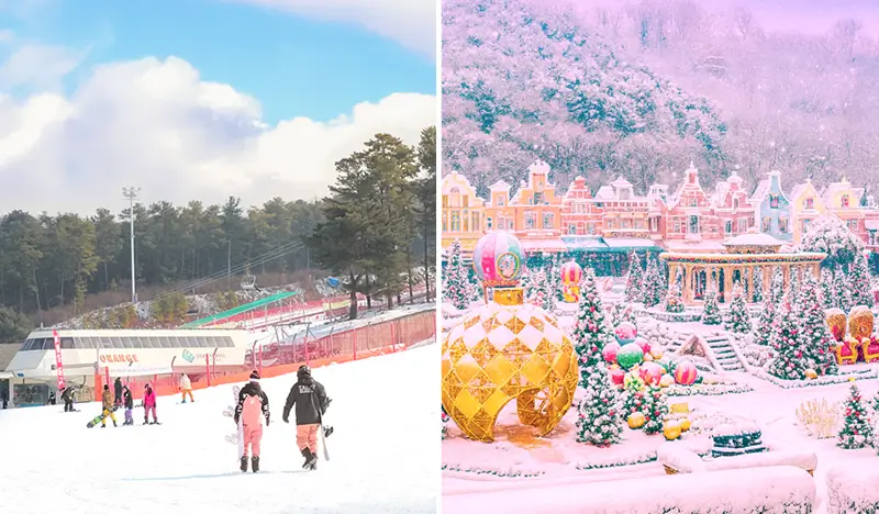 Jisan Ski Resort (+ Everland) 1 Day Tour - from Seoul