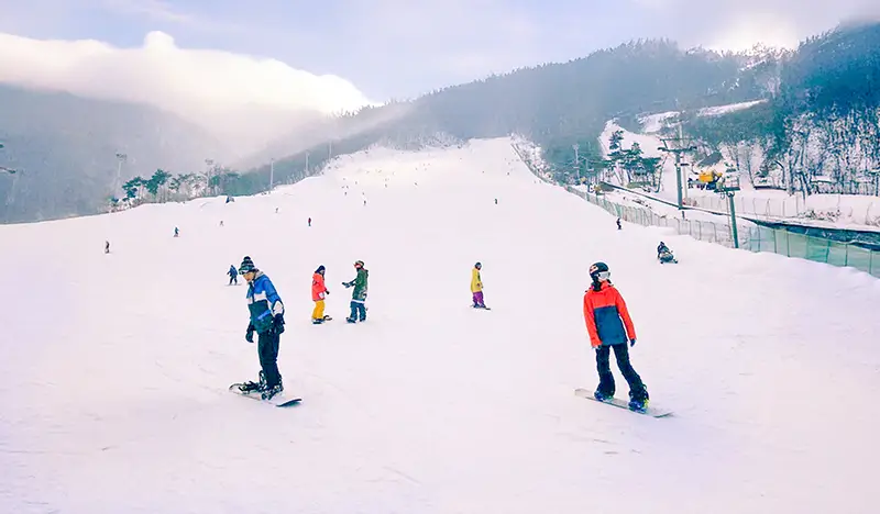Jisan Ski Resort (+ Everland) 1 Day Tour - from Seoul - view 1