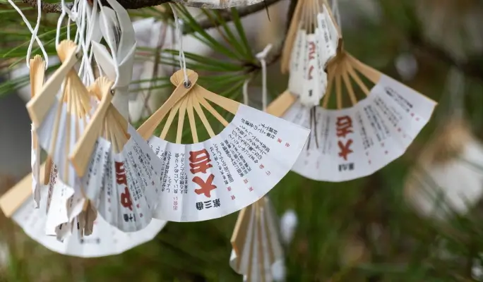 Kyoto by the Sea: Amanohashidate + Ine Funaya + Chionji Temple 1 Day Tour from Osaka