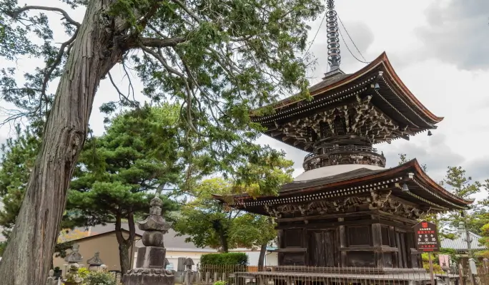 Kyoto by the Sea: Amanohashidate + Ine Funaya + Chionji Temple 1 Day Tour from Osaka
