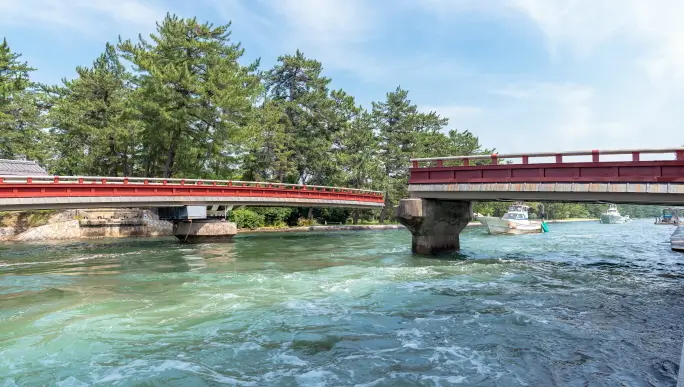 Kyoto by the Sea: Amanohashidate + Ine Funaya + Chionji Temple 1 Day Tour from Osaka