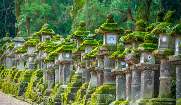Kyoto & Nara Highlights 1 Day Tour from Osaka