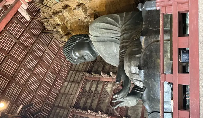Kyoto & Nara Highlights 1 Day Tour from Osaka