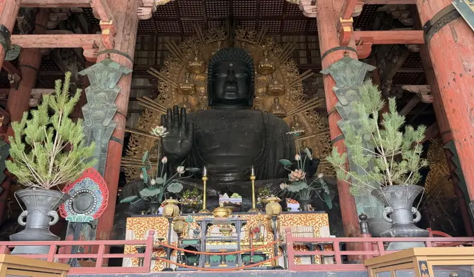Kyoto & Nara Highlights 1 Day Tour from Osaka