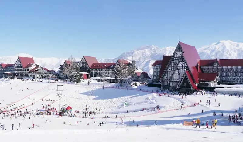 Joetsu Kokusai Ski Resort: 2D1N/3D2N Ski/Snowboard Package From Tokyo (Jan 25~Mar 13)
